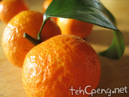 Orange shoot 1
