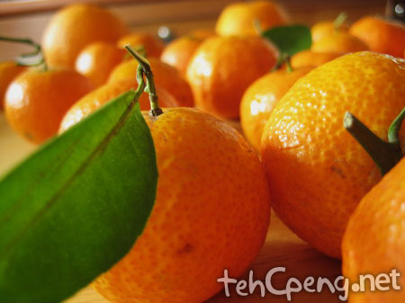 Orange shoot 3
