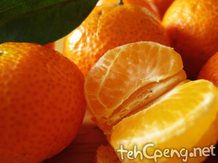 Orange shoot 2