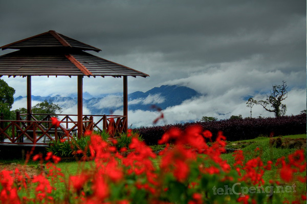 Garden In The Sky - Borneo Highlands Resort