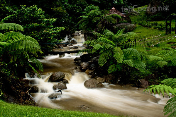 Long exposure shot of a waterfall - Borneo Highlands Resort