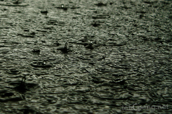 Droplets in the rain